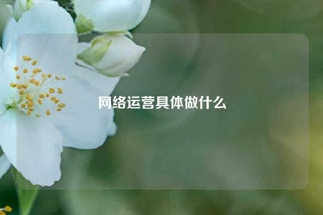 網絡運營具體做什么