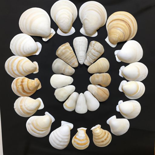 網站運營的發展方向是什么？