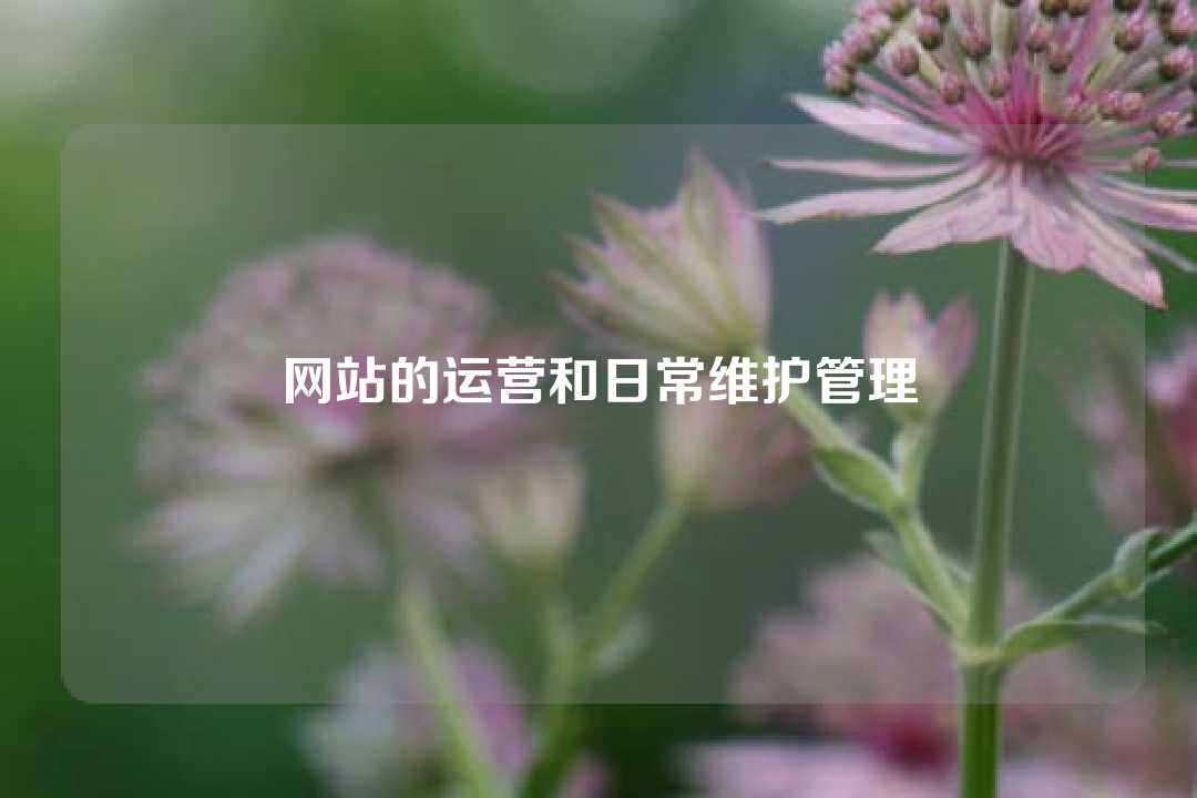 網(wǎng)站的運(yùn)營和日常維護(hù)管理