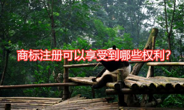 商標注冊有哪些好處那些權利呢？