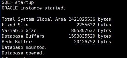oracle報錯01081