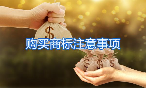 購買商標需要注意什么？