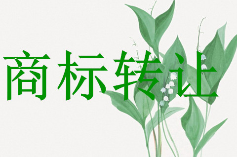商標轉讓的過程過于復雜，如何避免呢?
