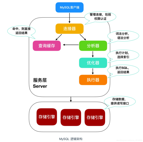 如何有效管理和利用MySQL數據庫的元數據？